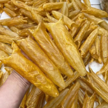 12头花胶筒