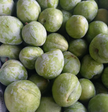 [青奈李批发]建瓯倷果价格2.00元/斤 - 一亩田