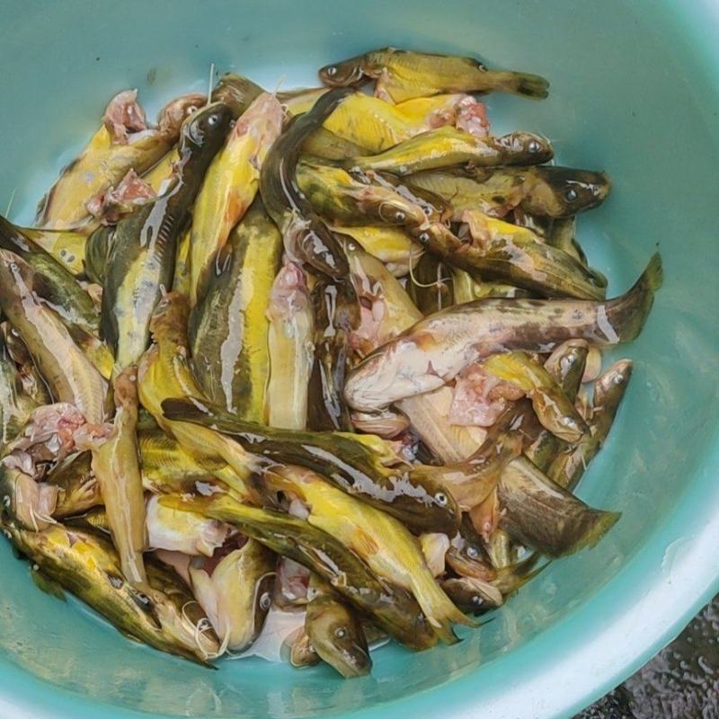 [花骨鱼批发]黄骨鱼,当天晚上抓,当天发货,保证质量,谢谢.价格25.