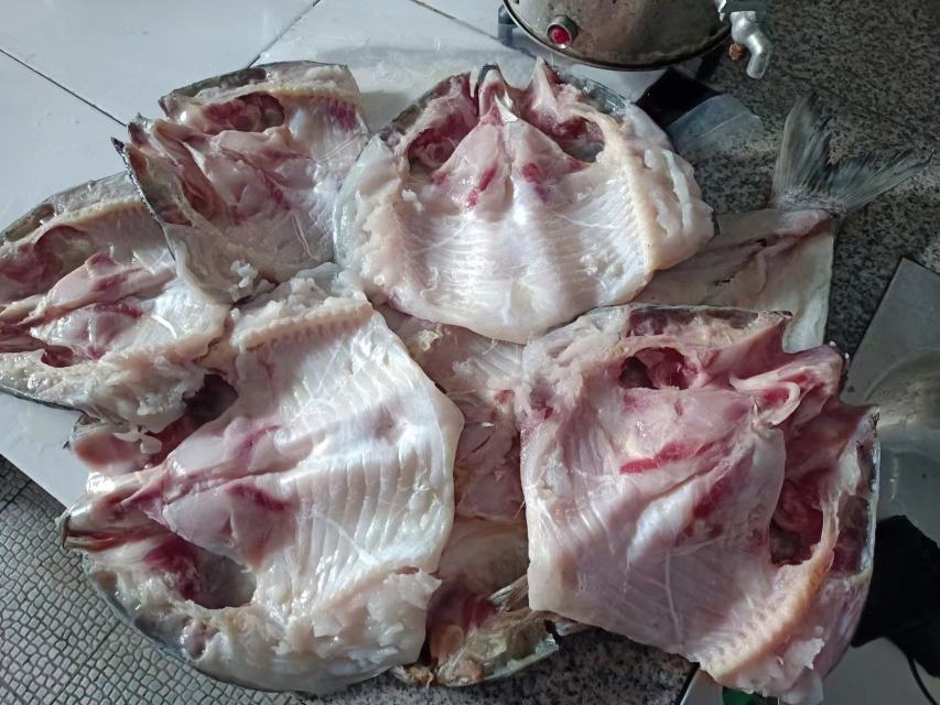 草鱼处理完成,已划刀并塞入姜片和大葱段 腌鱼处理步骤