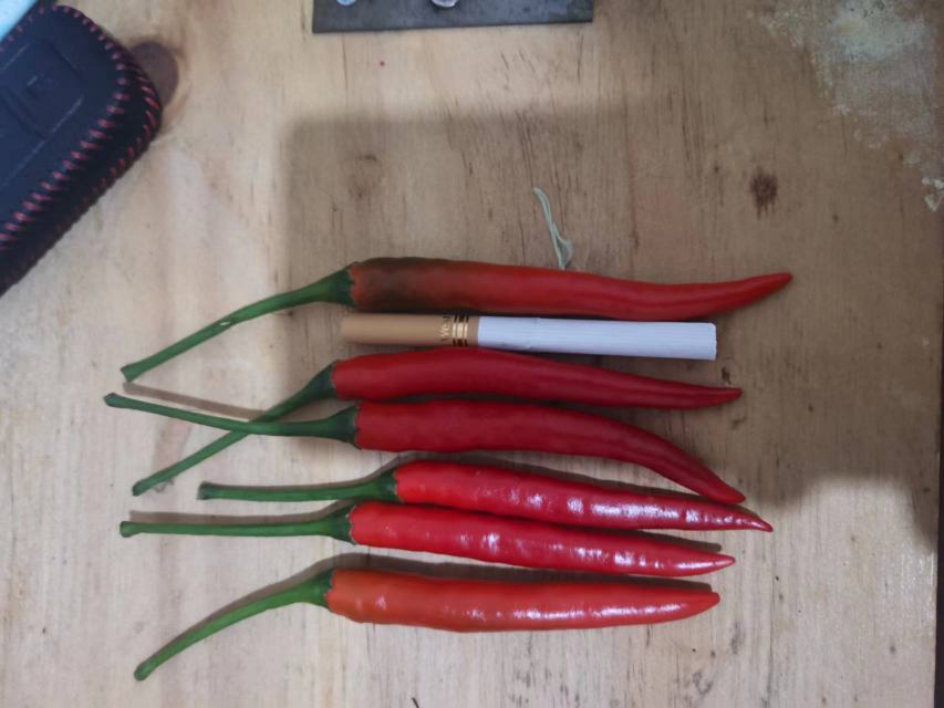 一张对比图展示四种常见辣椒:左侧为小米椒(红色细长),中间为线椒(绿色较长较粗),右侧为朝天椒(短粗向上),下方为普通青椒(灯笼形),背景为浅灰色木纹桌面,标签注明名称 小米椒与其他辣椒对比图