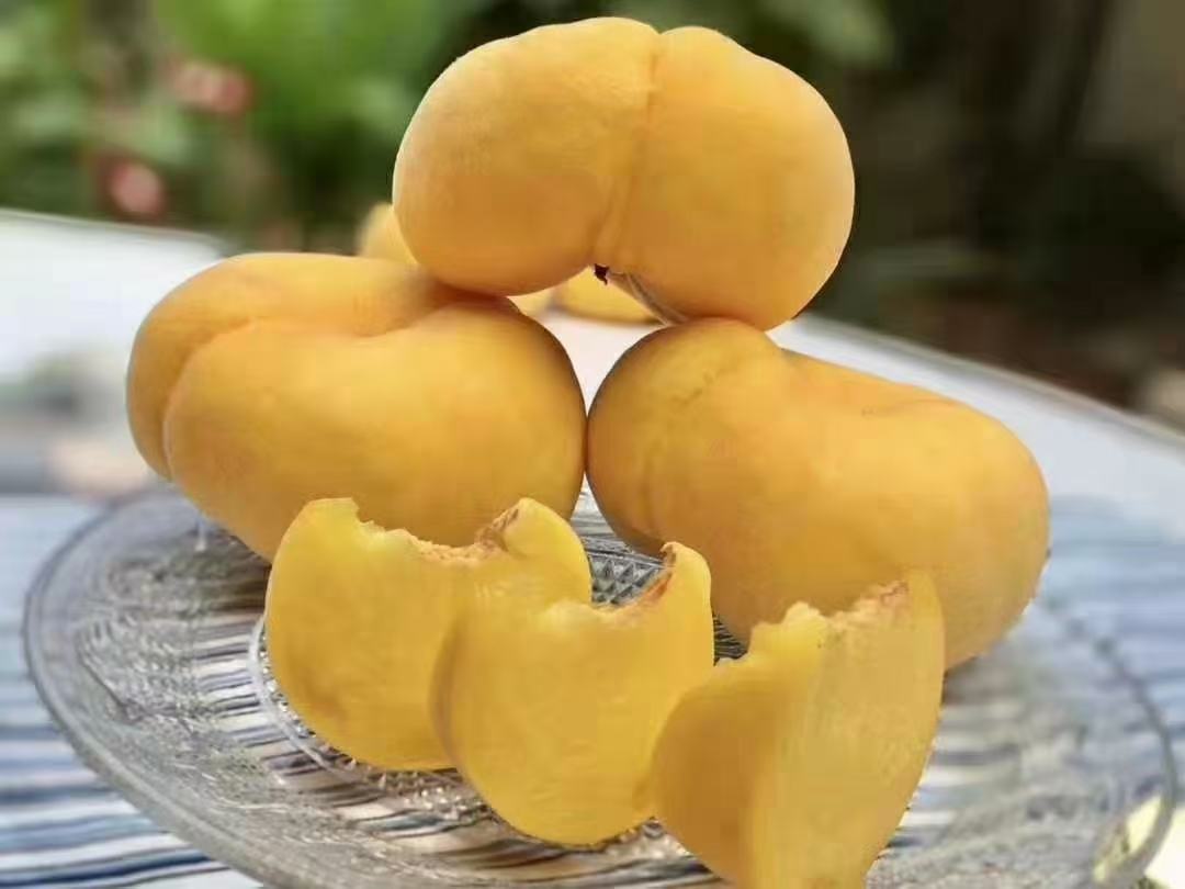 一个新鲜的烟薯被横向切开,露出金黄色至橙红色的细腻瓤心,表面湿润有光泽,隐约可见糖汁渗出,背景为木质砧板,周围散落几片绿叶状红薯茎叶 烟薯切开后的横截面特写