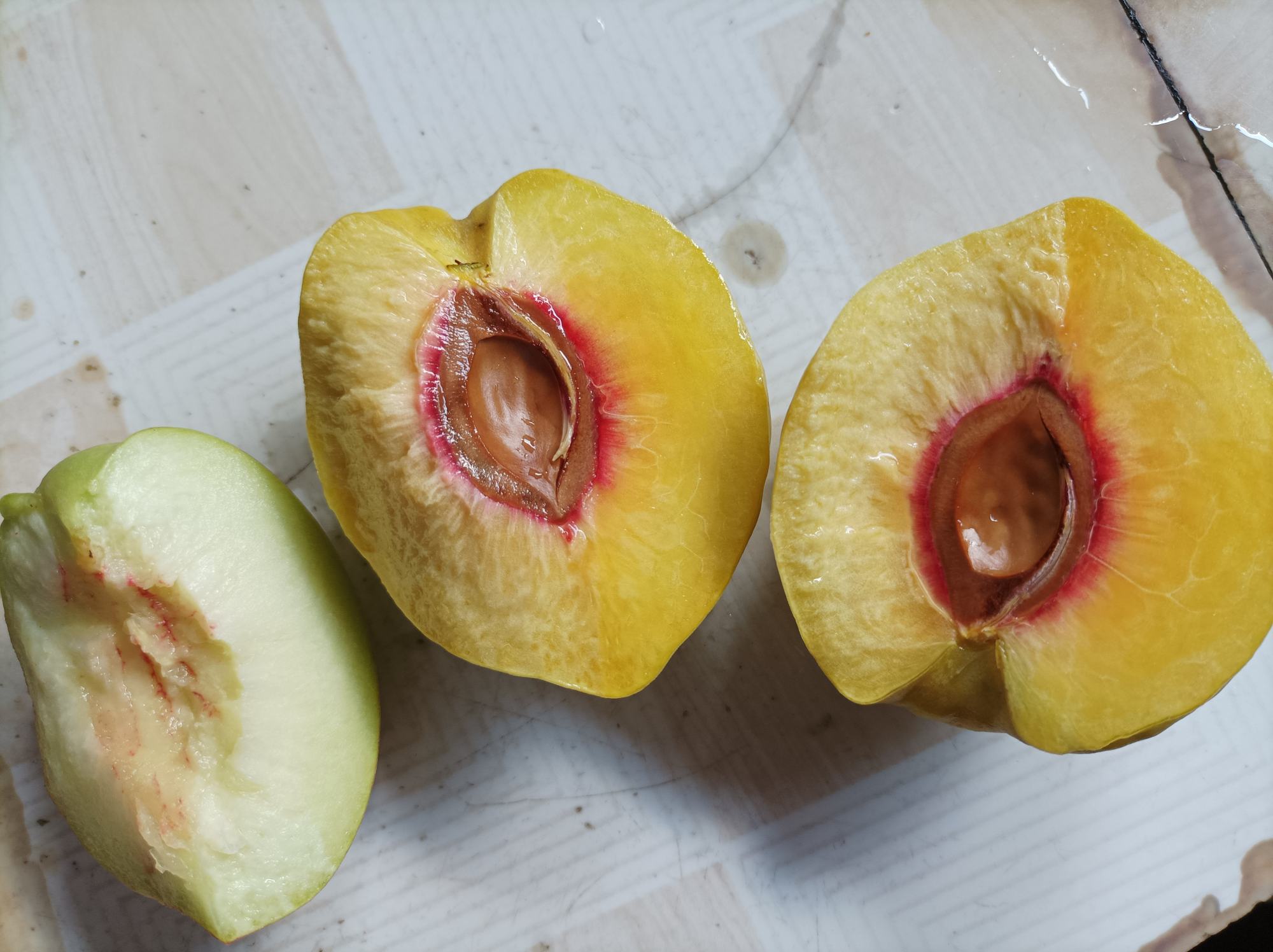 展示一颗成熟炎陵黄桃的切面,果肉金黄、多汁,表皮带有自然绒毛 炎陵黄桃果实特写