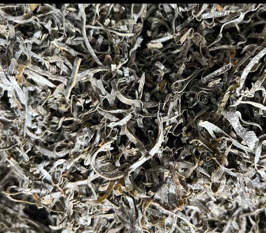 俯拍高清图:展示泡发完成的海带丝理想状态——长度均匀、无断裂、无白芯、无粘连,醋瓶与冰格作为视觉提示强调‘焯水+冰镇’工艺要点 正确泡发并焯水后的海带丝特写:墨绿透亮、根根分明、表面光滑湿润但不滴水,平铺于青色竹制蒸笼垫上,旁边摆放白醋瓶与冰格,体现关键辅料