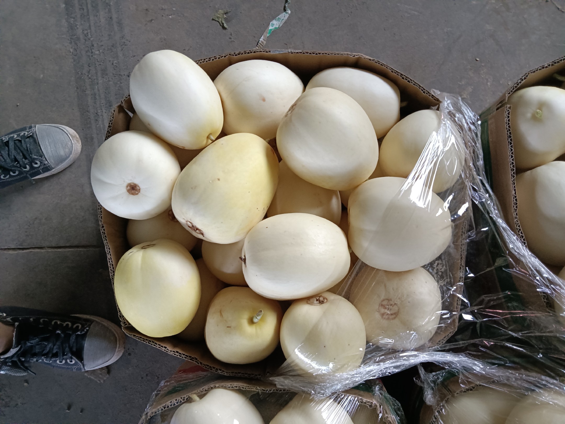 美都西瓜品牌化销售实景：透明冷链箱内整齐码放5个套网袋美都西瓜，箱体印有“浦江美都·全程溯源”二维码及“采摘后72h直达”标识，背景为分拣车间电子屏显示实时温湿度与物流轨迹