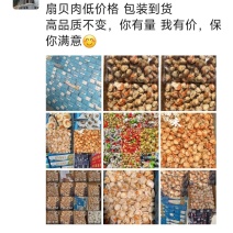 扇贝各种规格的扇贝肉