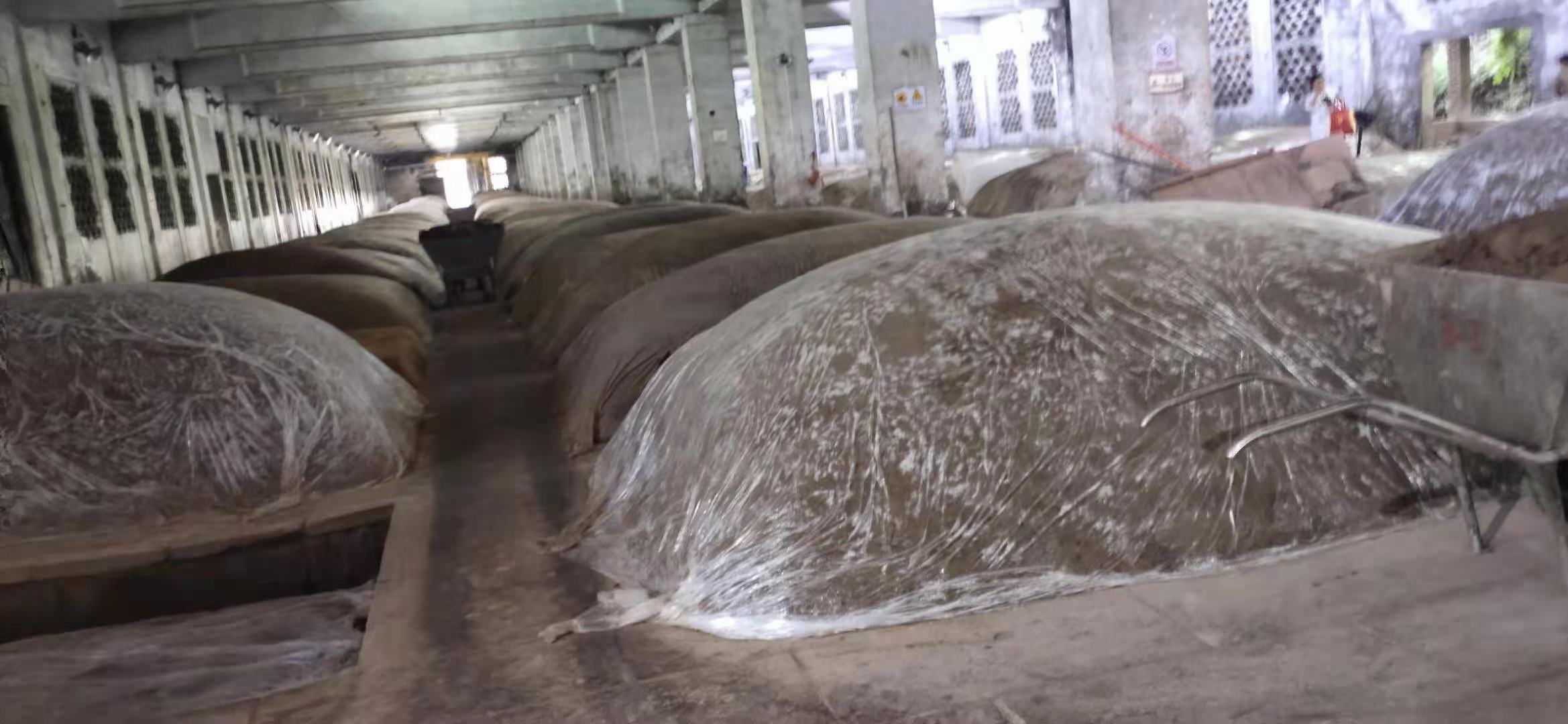 酿酒车间中的小麦堆积场景