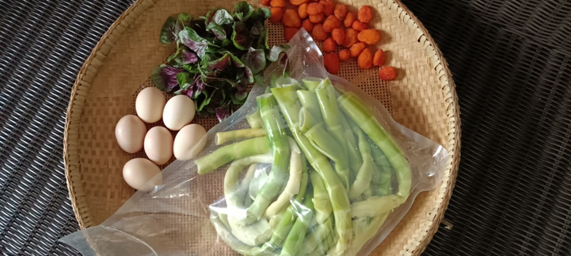 展示鸡蛋干与绿色蔬菜搭配的健康餐盘 鸡蛋干与蔬菜搭配的餐盘