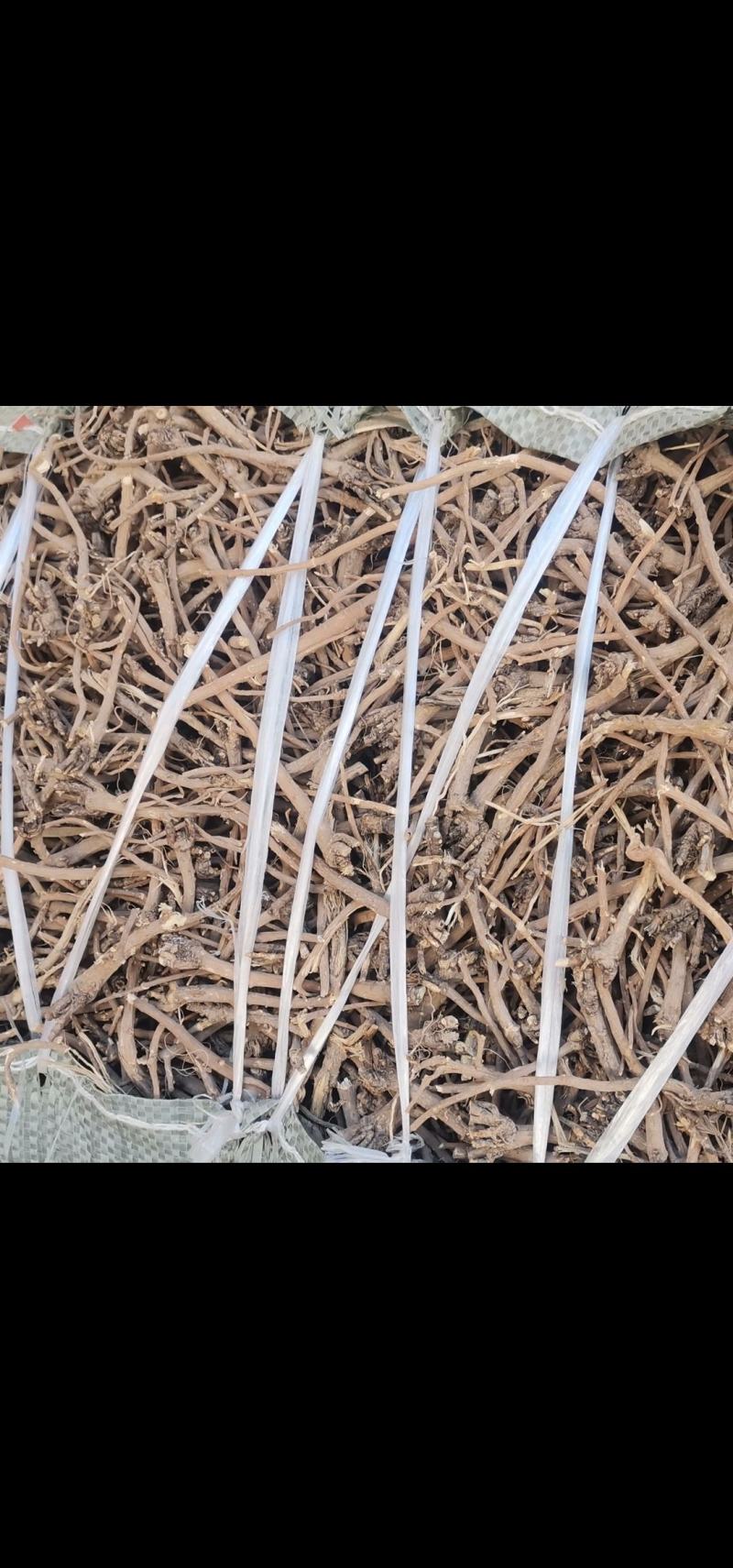 山西药材,柴胡,红钦