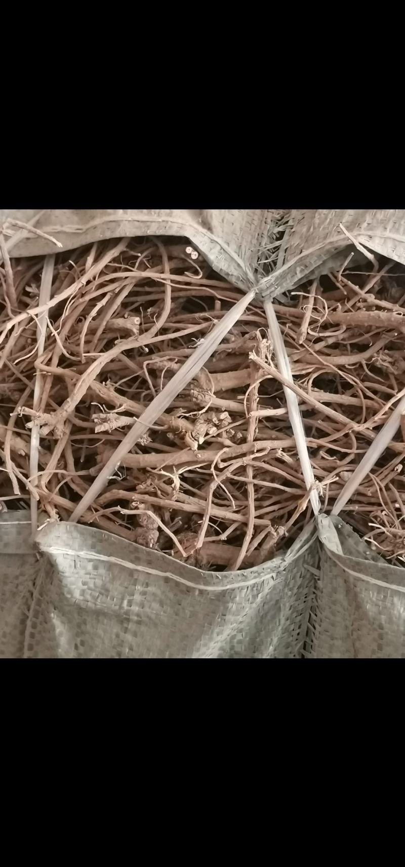 山西药材,柴胡,红钦