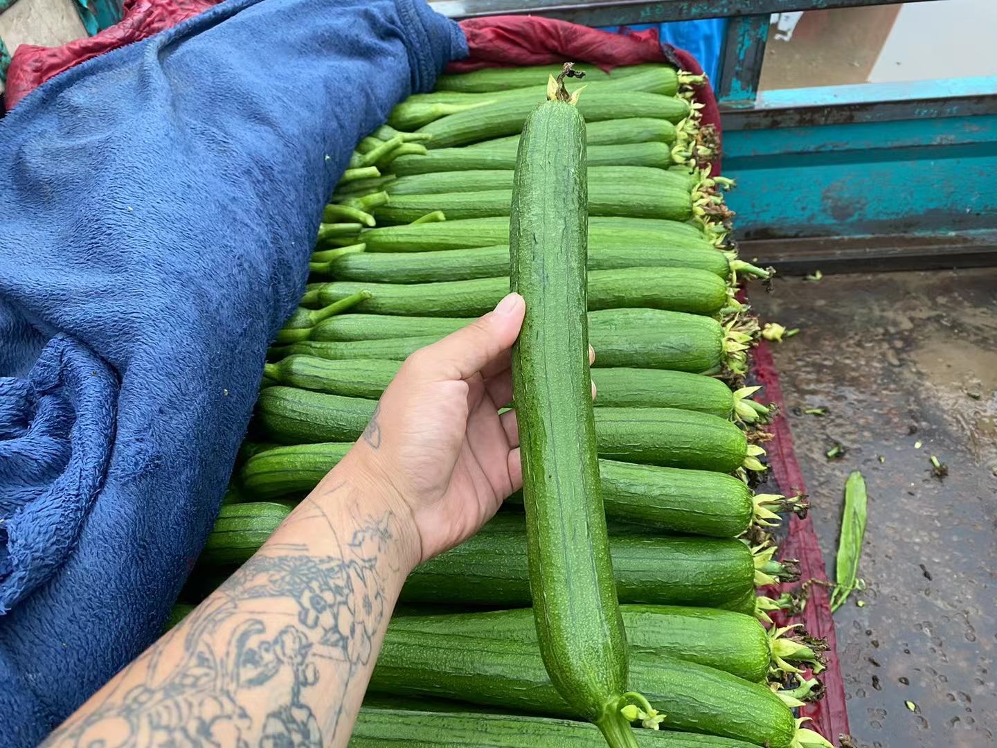 丝瓜豆芽在炒锅中翻炒过程,展现炒制时的真实状态 丝瓜豆芽翻炒过程图