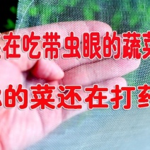 防虫网
