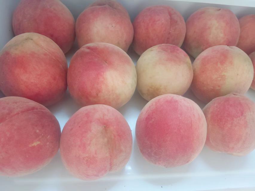 红不软桃与水蜜桃对比图