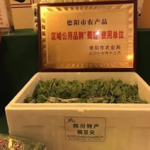 四川特产豌豆尖（龙须菜）