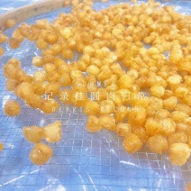 广东桂圆