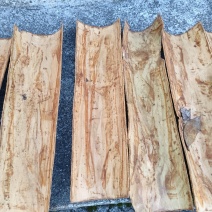 【产地直销】桂皮大量供应湖南产地直销质量上乘量大优惠