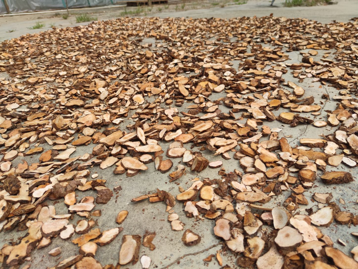 准备好的土豆片放入纱布中准备敷膝