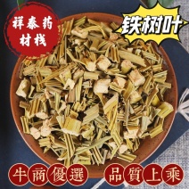 （热销）铁树叶全草类中药中药材批发零售量多从优祥泰药材