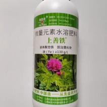 上善铁液体聚合铁治理黄化见效快促进叶绿素合成增强光合作用