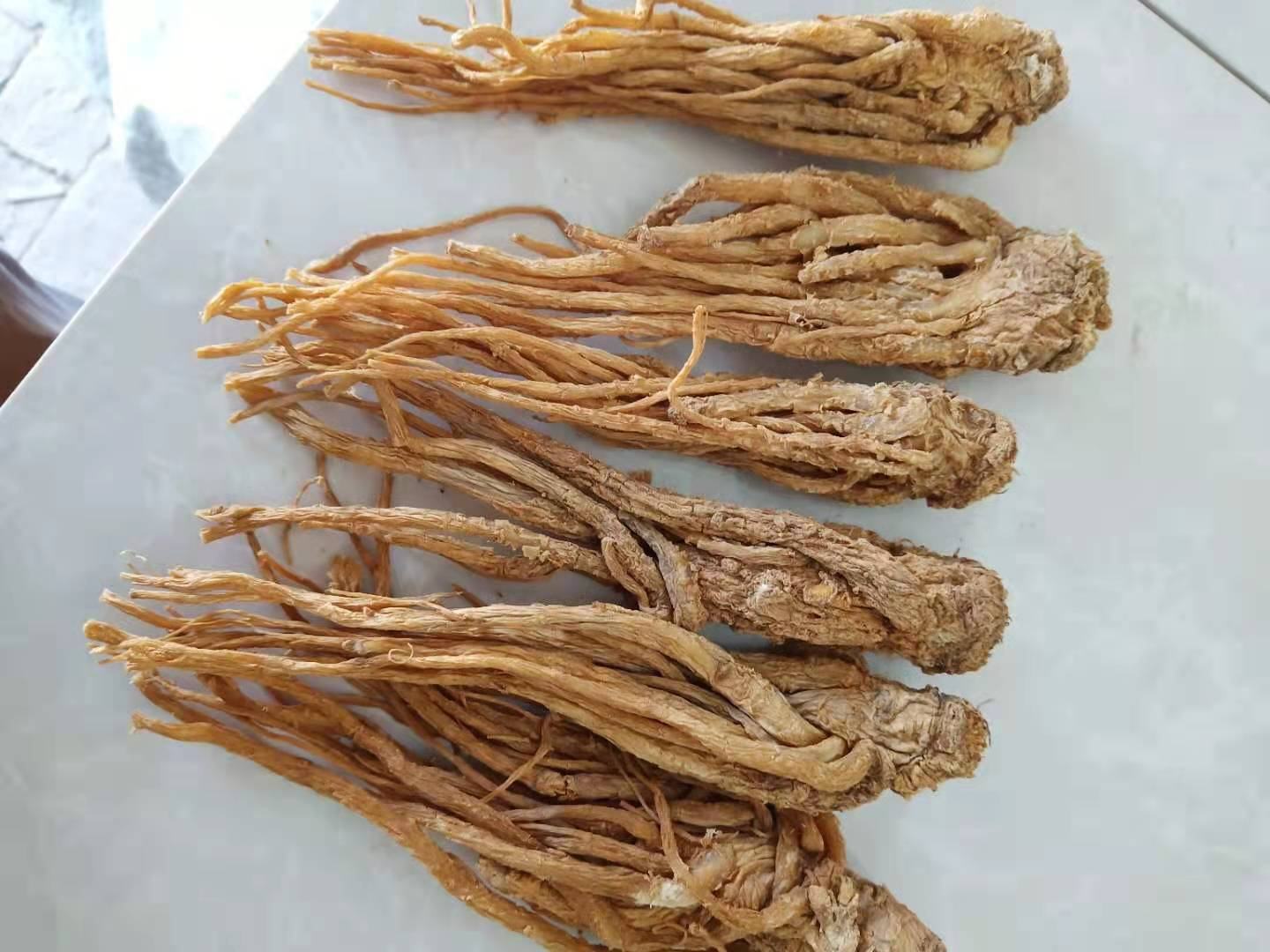 何首乌与熟地黄药材图