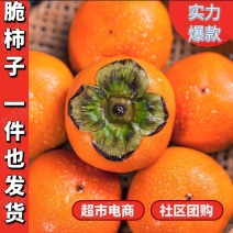 【实力】脆柿子产地直达甘甜味美精品包装主供电商超市