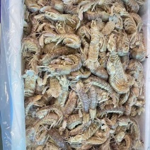 虾爬子，皮皮虾