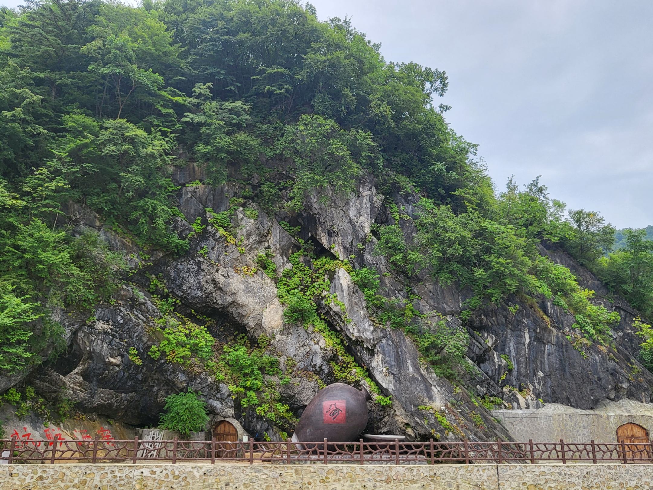 一瓶装有林下参和白酒的玻璃瓶,背景为自然森林环境 林下参泡酒成品展示