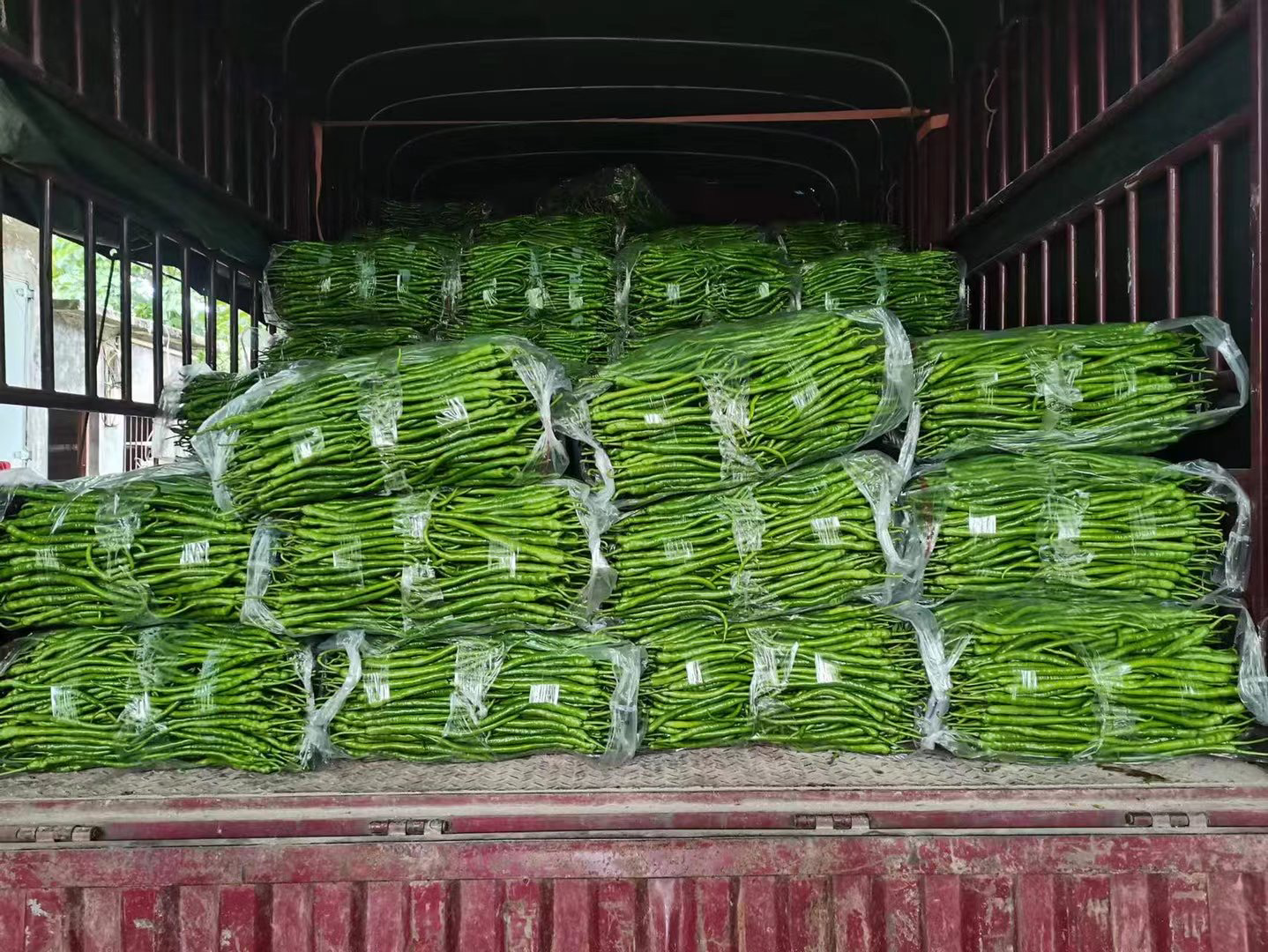 鲜辣椒冷链运输车内部温控系统示意图