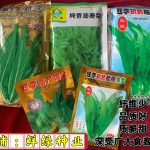 速生绿叶油麦：抗寒耐雨、耐寒耐湿、纤维少、品质优、质脆甜