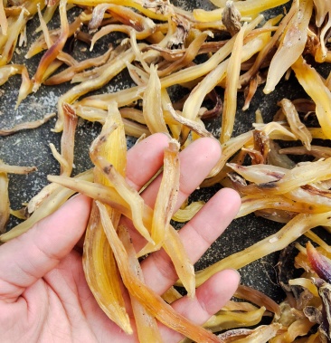 [天冬批发]野生天冬,无流干货价格46.00元/斤 - 一亩田