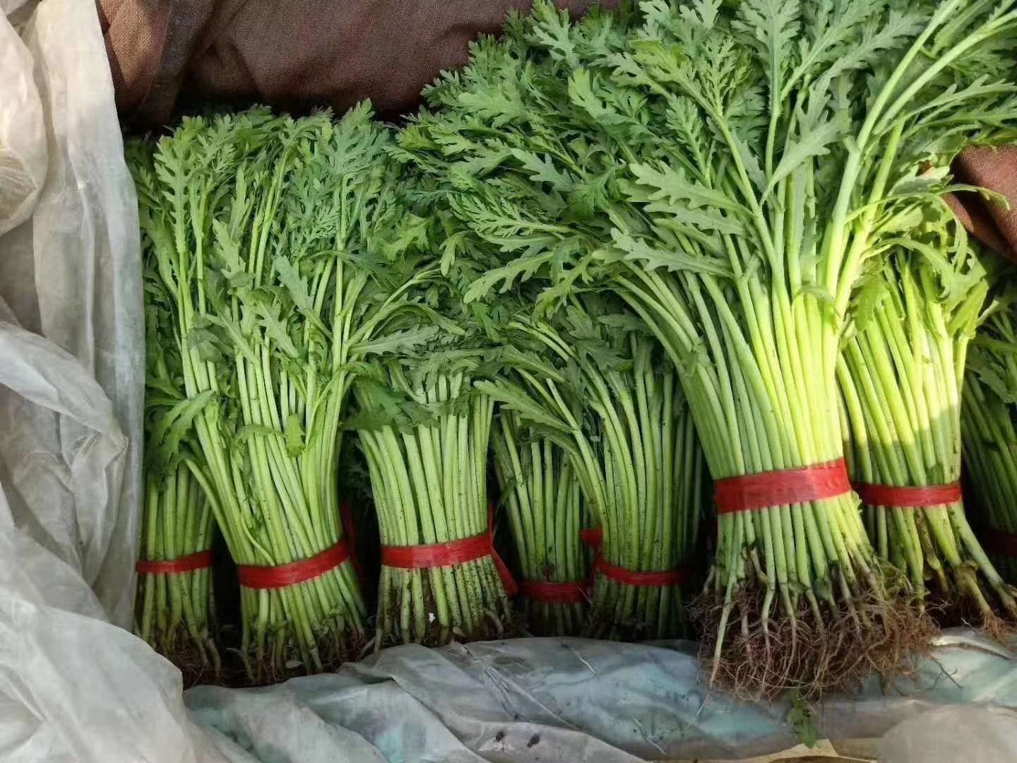 蒿子杆特写