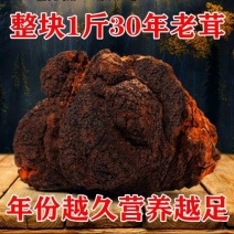 长白山桦树茸野生白桦茸桦褐孔菌500克正品整个切块