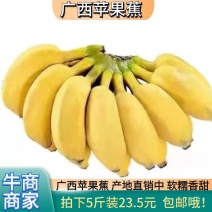 广西苹果蕉一件代发，电商，团购，一件代发，包邮