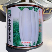 根形美须根少春播出色品相好卡其春白玉萝卜种子春秋两用