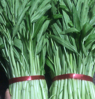 [空心菜批发]白杆空心菜价格7.50元/斤 - 一亩田