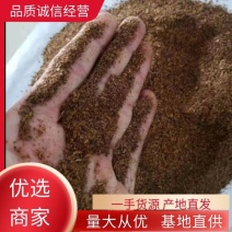 【精品】酱香酒糟粉，猪牛羊活禽饲料，一手货源，货源充