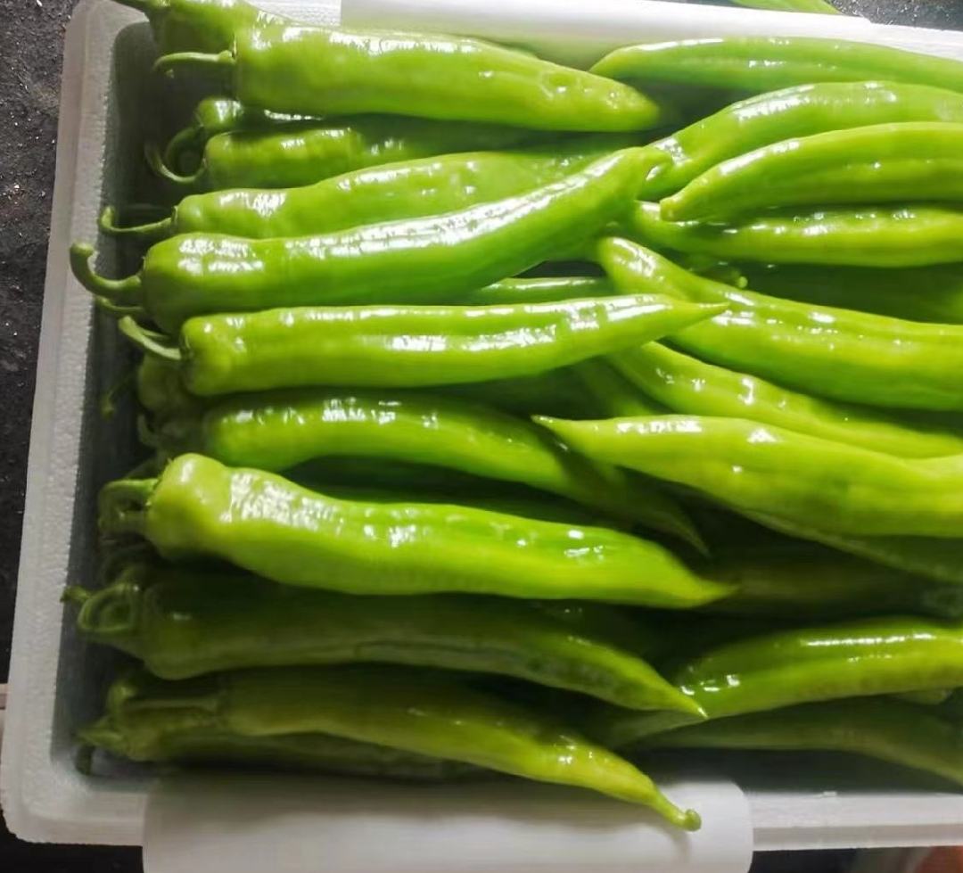 凉拌尖椒成品图