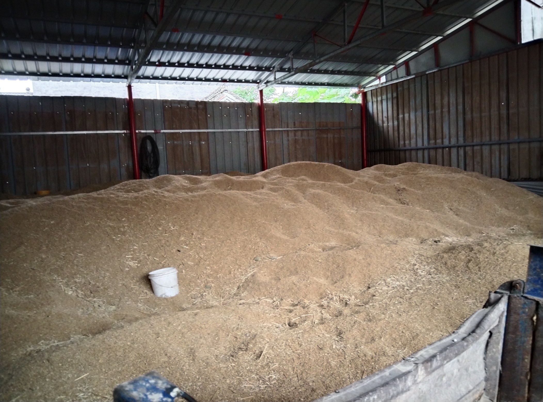 小麦收获与留茬管理示意图