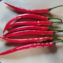青辣椒，红辣椒，新鲜刺梨