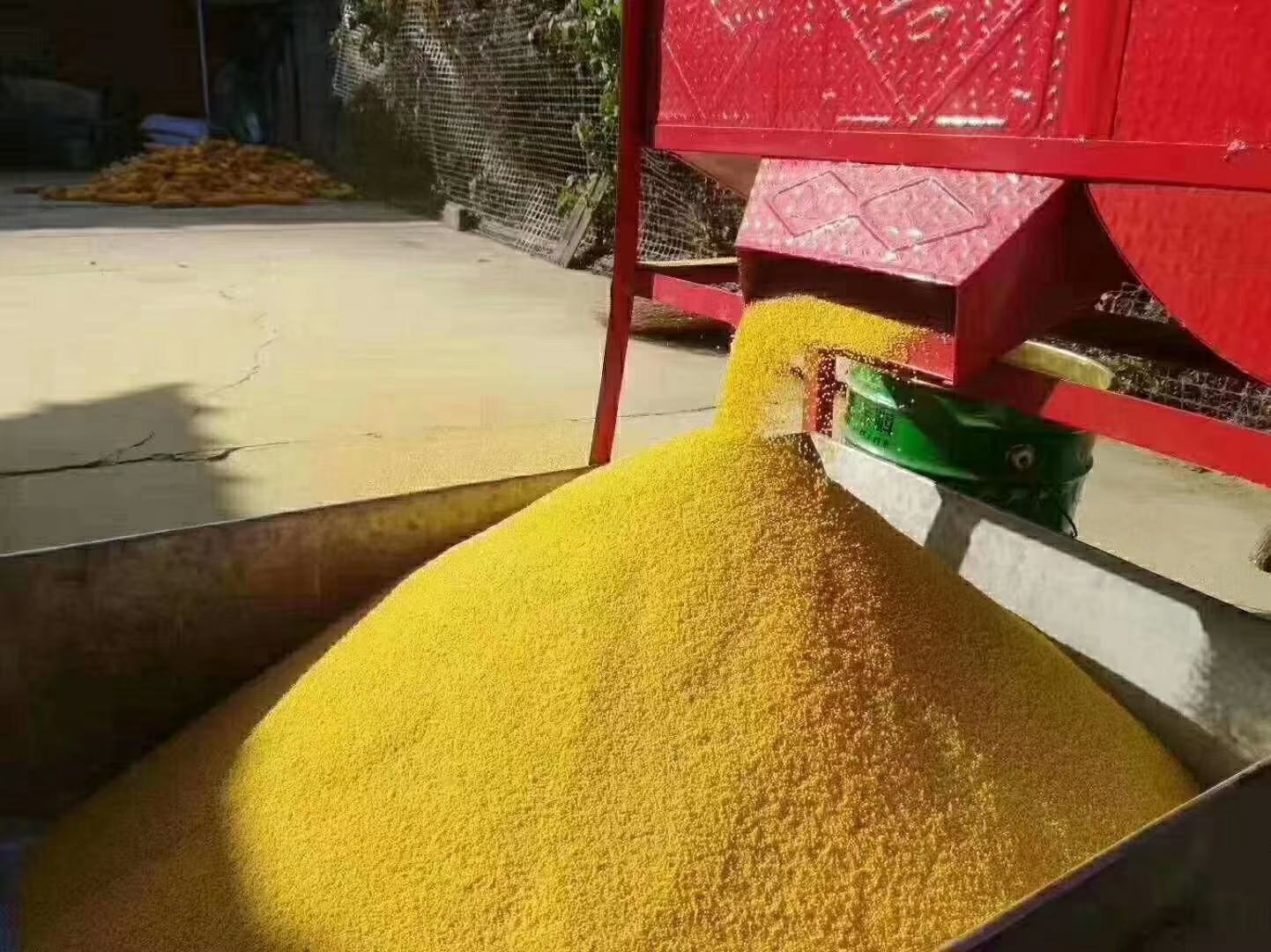 玉米脱粒机工作现场