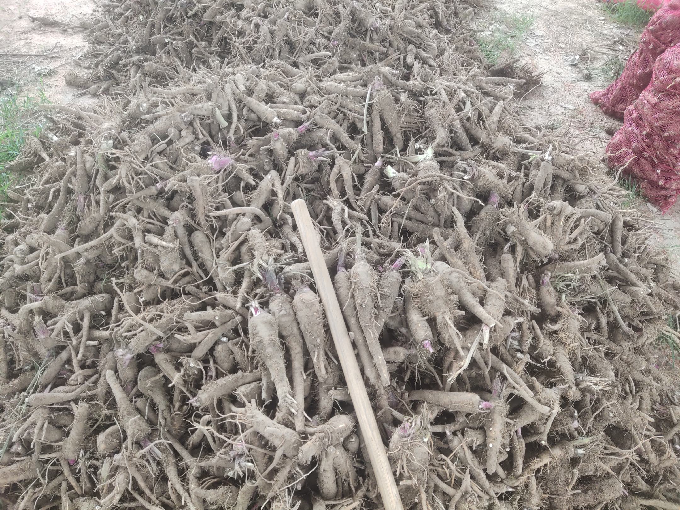 白芷电商销售场景