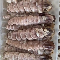 加工皮皮虾，虾爬子