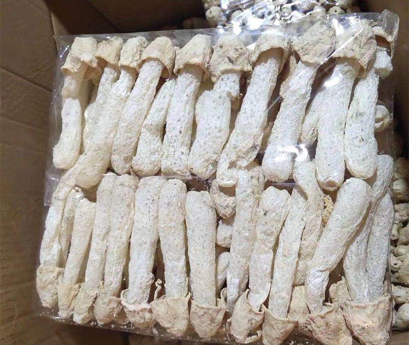 长裙竹荪干品与泡发后的对比图