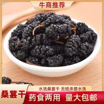 水洗桑葚干包邮无硫杀菌水洗药食两用泡水干吃