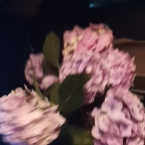 山货