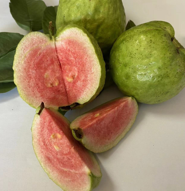 [红宝石番石榴批发]红宝石番石榴价格2.20元/斤 - 一亩田