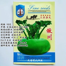 傲川苤蓝种子春秋青苤蓝种籽水果绿苤兰球茎蓝四季盆栽庭院