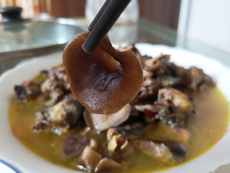 干香菇炖鸡成品图