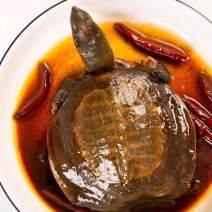 麻辣甲鱼，麻辣甲鱼，麻辣甲鱼