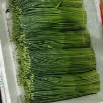 大量中长花白菜价出售，价格便宜，整车发货